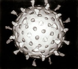 Rotavirus Reconstruction