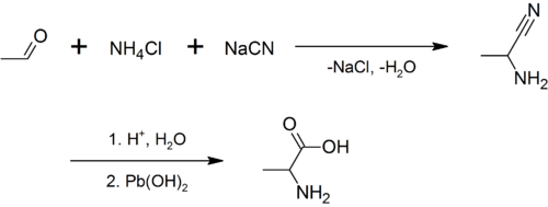 Synthesis of alanine - 1